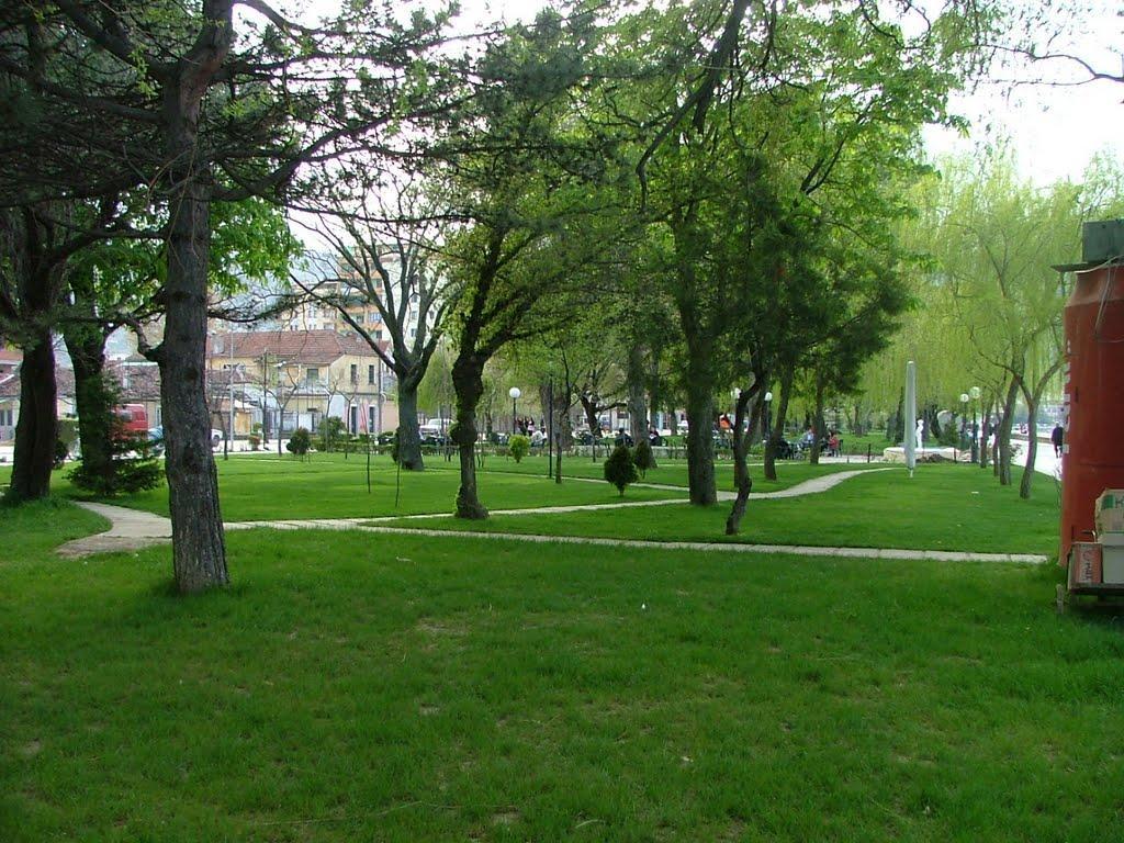 Lake View Pogradec Eksteriør billede